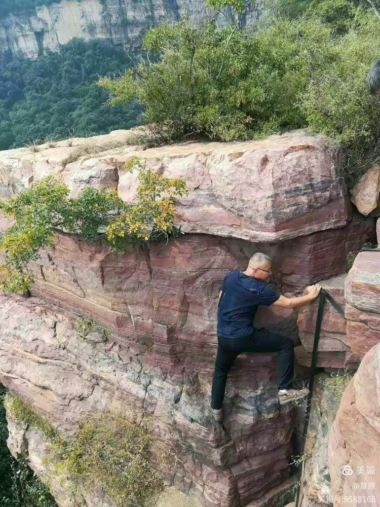 全员作战获胜关键，身手敏捷领队成功巡视的简单介绍