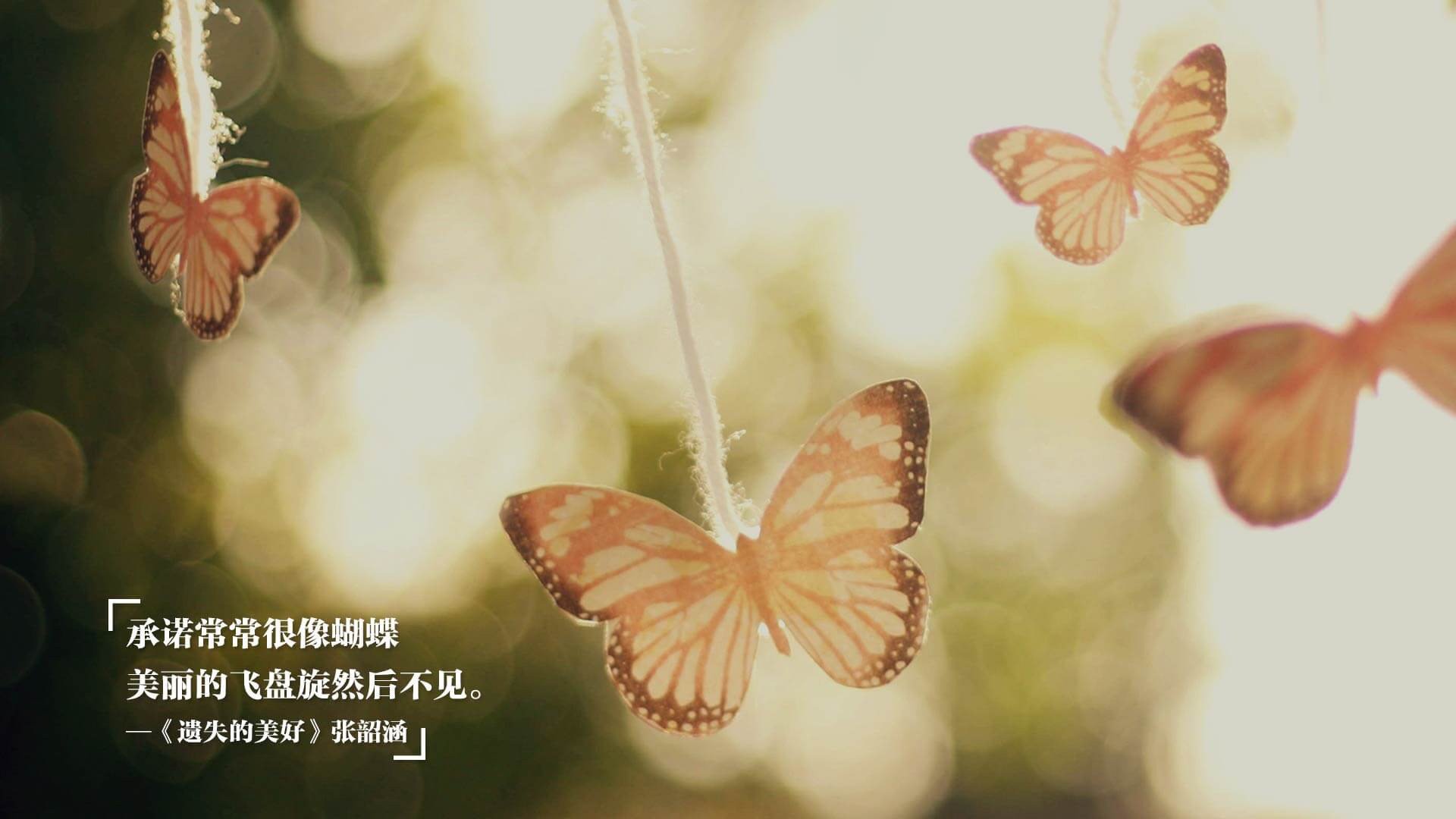 厄德高中场魔法秀，以无声指令，编织全队交响乐