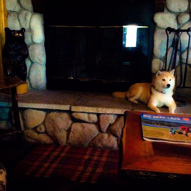 从F1收官战看佩德里，聚光灯下的舞者，从不退场