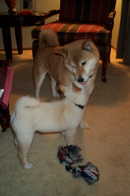 底特律的暴风雪，活塞狂胜马刺，哈登成为关键先生