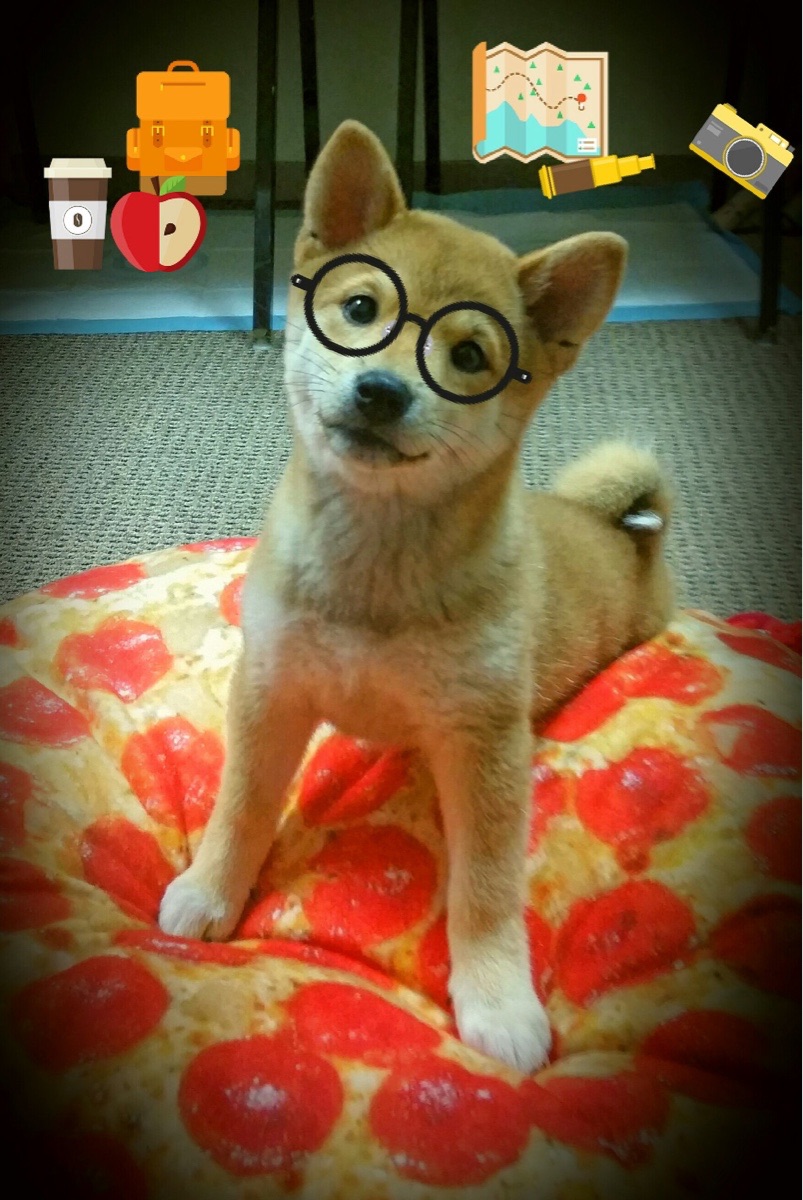 黄潜掀翻英伦巨舰，卡马文加，新时代的中场刺客