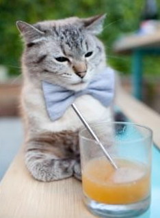 开云下载-雷恩战术封锁葡萄牙，皮克奥运关键战主宰赛场