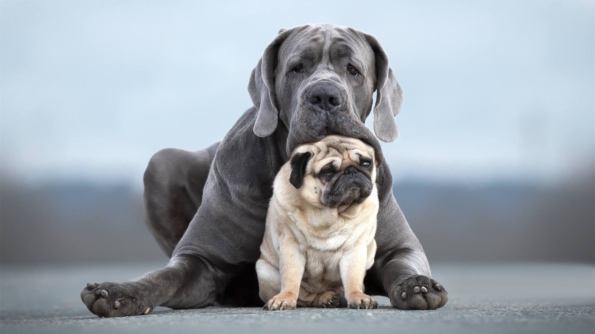 开云体育app-巅峰对决，詹姆斯手起刀落定乾坤，雷霆团队风暴震浙江