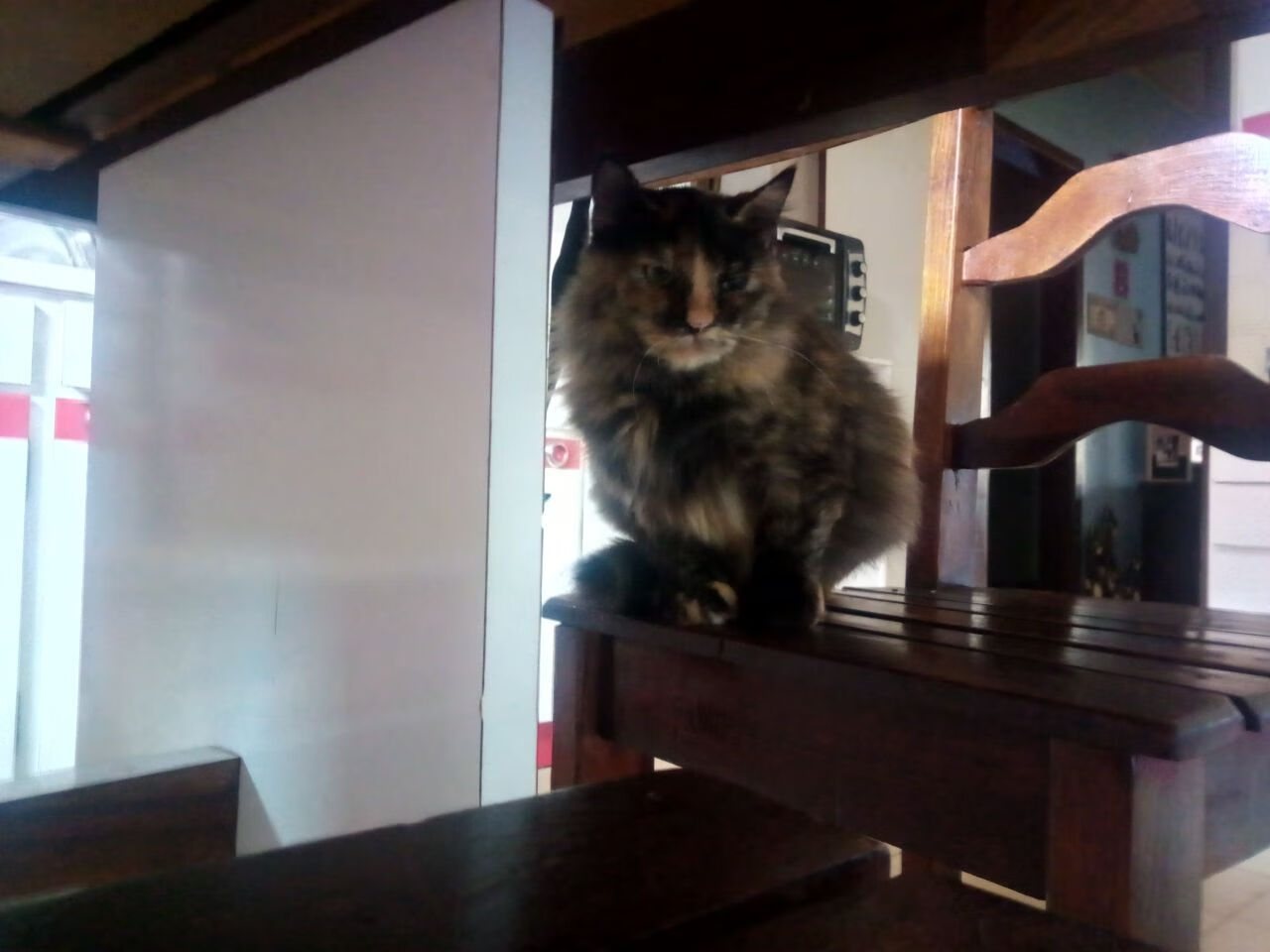 足球的两种维度，从安第斯山脉的战术对决到德甲争冠夜的个体光芒