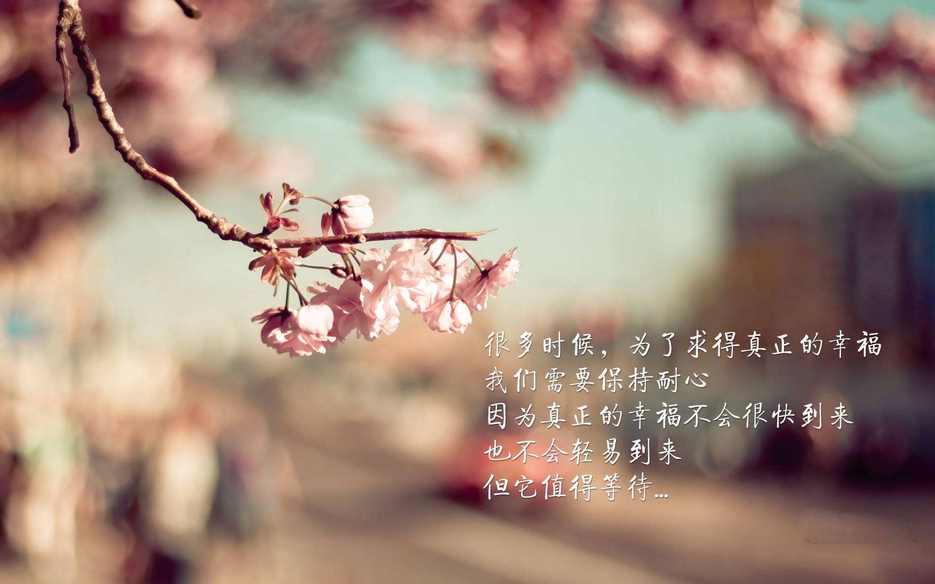 关键先生切特，尼克斯连续得分压制76人，新星闪耀赢下关键战